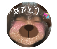 846227677