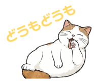 846228013