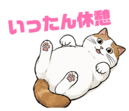 846228014