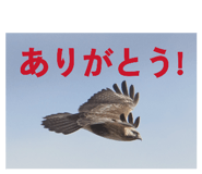 846229090