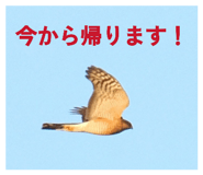 846229102