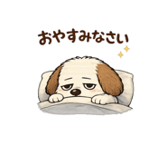 846229954