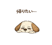 846229955
