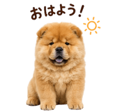 846230023