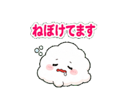 846230426