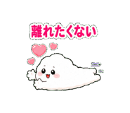 846230582