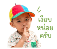 846231162