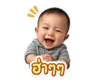 846231515