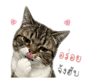 846232331