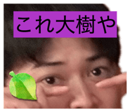 846232684