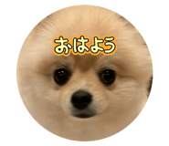 846233057