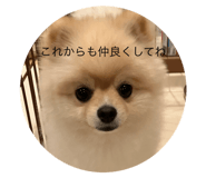 846233063