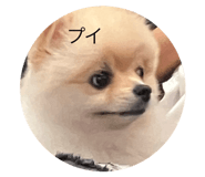 846233065