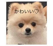 846233068