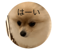 846233070