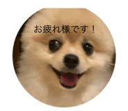 846233077
