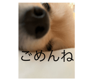 846233080
