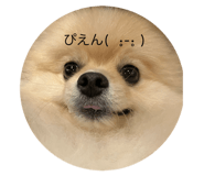 846233088