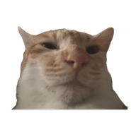 846234228