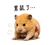 846236536