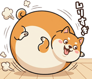 846238036