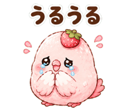 846241278