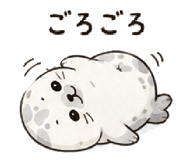 846241724
