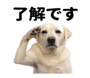 846241826