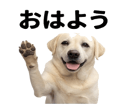846241828