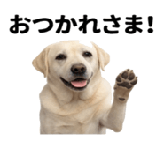 846241829