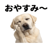 846241830