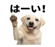 846241831