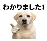 846241832