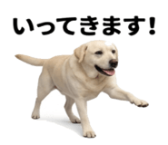 846241835
