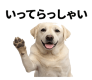 846241836