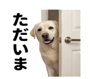 846241837