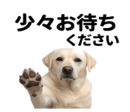 846241840