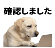 846241841