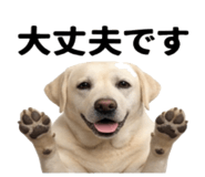 846241842