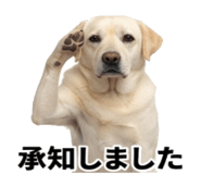 846241846