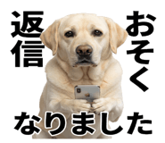 846241847