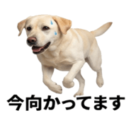 846241848