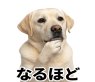 846241850