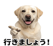 846241856