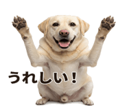 846241857