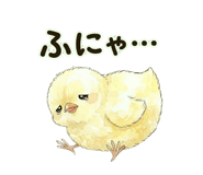 846242035
