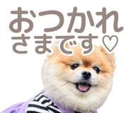 846242482