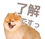 846242485