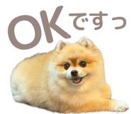 846242486