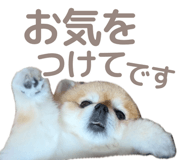 846242490